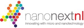 Nanomedicine theme within NanoNextNL (Netherlands)
