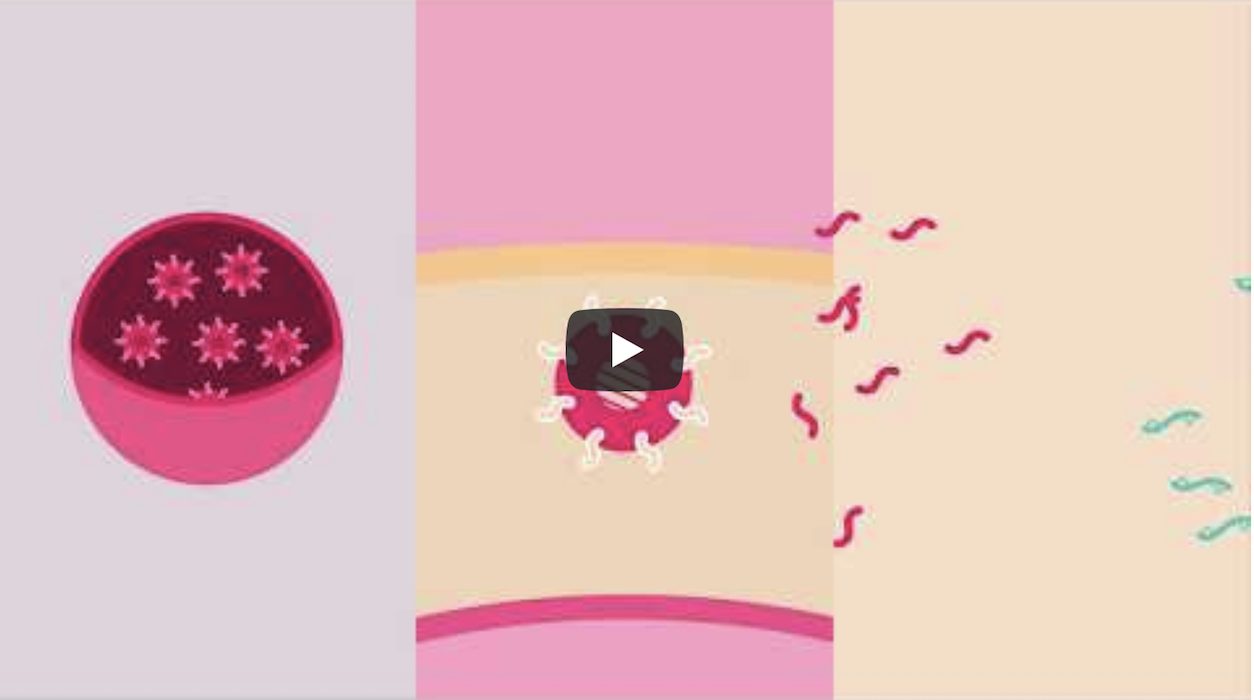 VIDEO:  new nanotherapy research for inflammatory bowel diseases by the New Deal Project