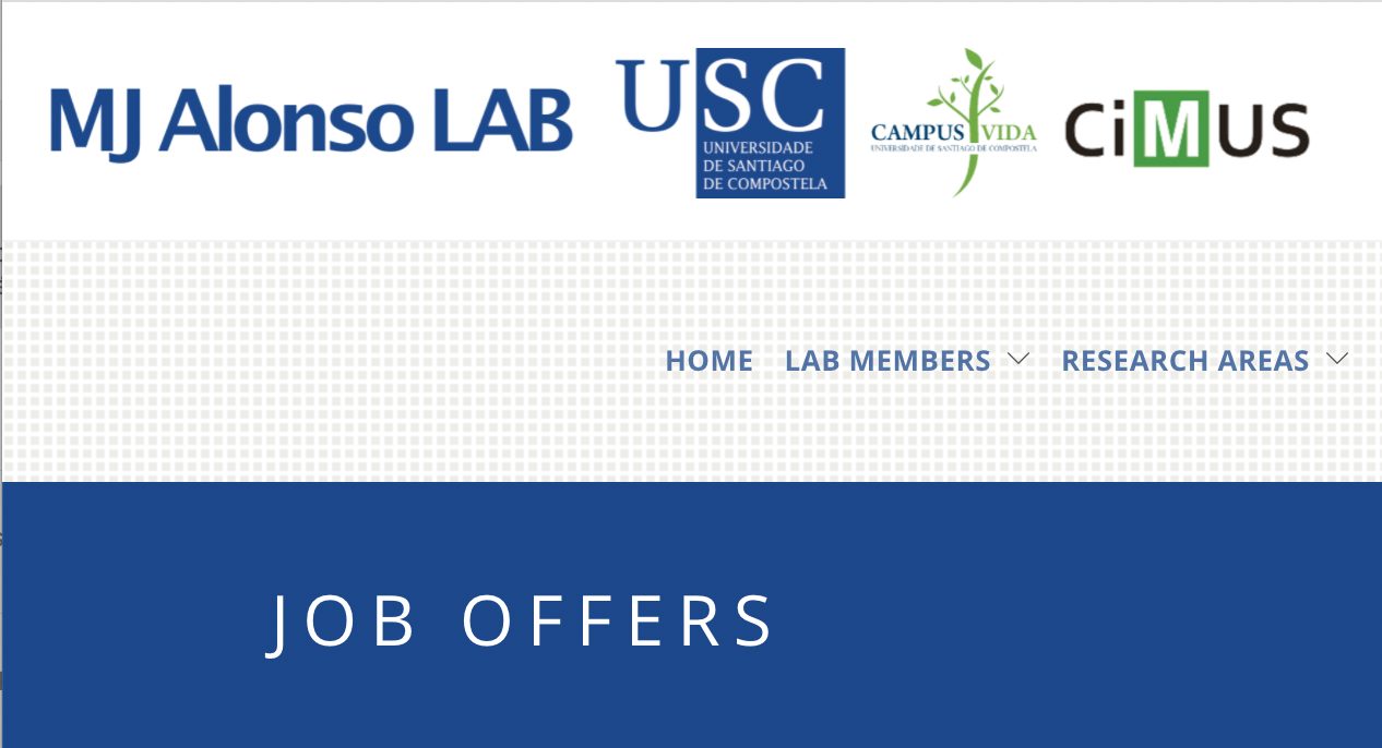 Various positions at the laboratory of Prof. MJ Alonso (USC – Spain)