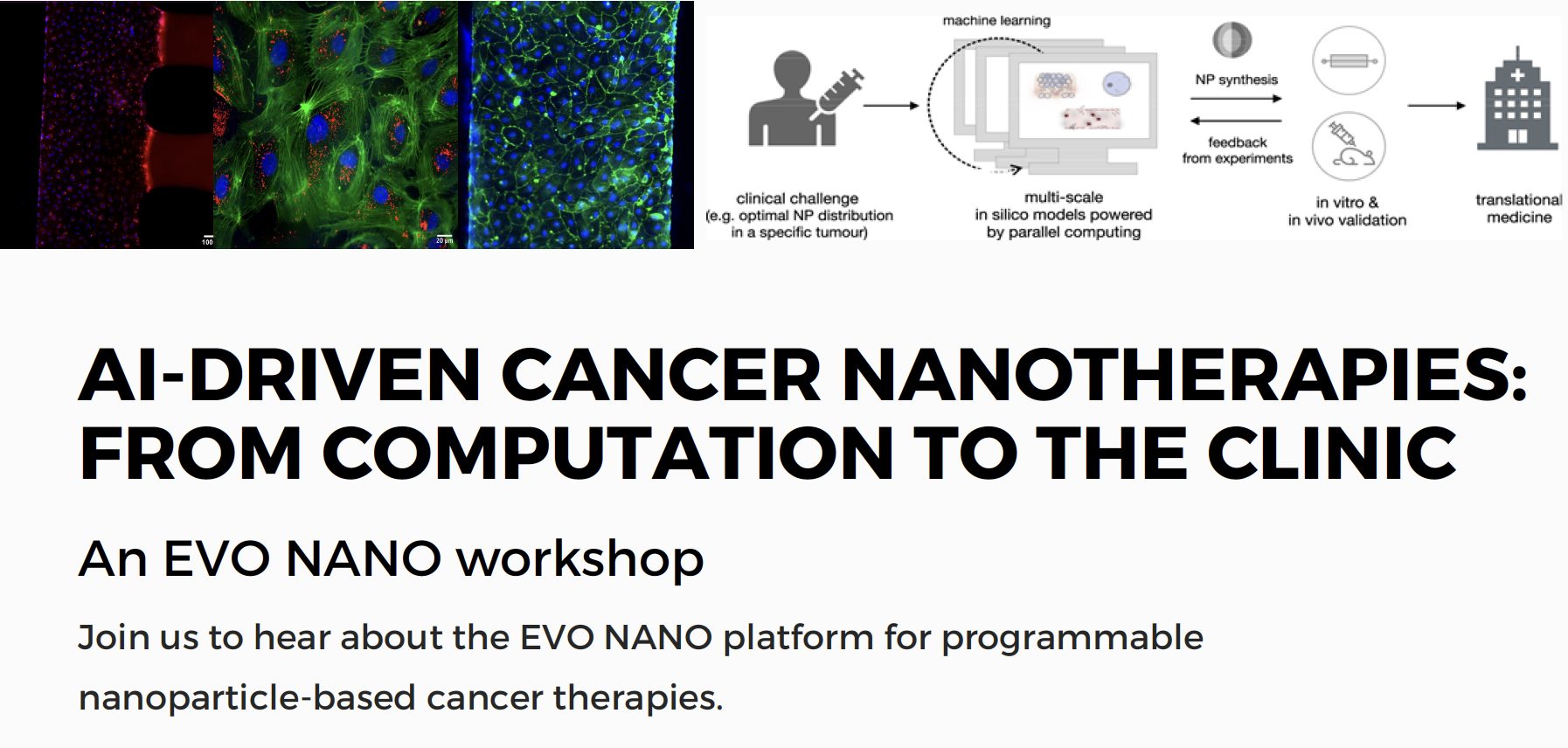 Workshop “AI-driven cancer nanotherapies: from computation to clinic” of the Evo Nano Project.