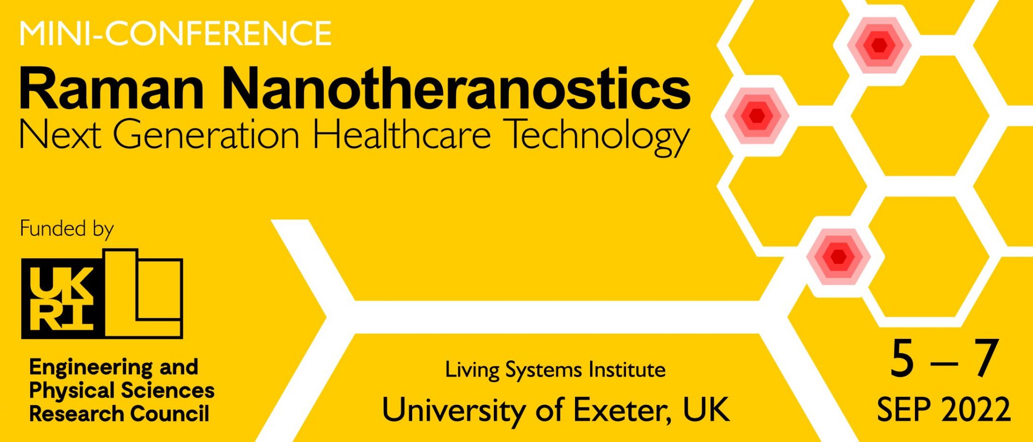 RanT2022 – Raman Nanotehranostics conference at the University of Exeter (UK)